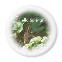 HELLO SPRING magnets by Mikale2008 HELLO SPRING magnets