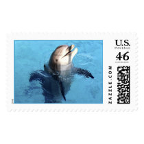 Hello !stamp by photographs Hello !stamp