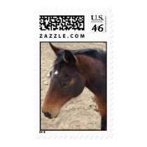 Hello Star postage