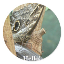 Hello! stickers by codfishlady Hello! stickers