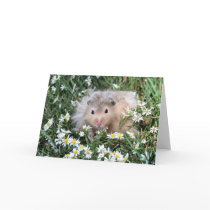 Hello there greeting card