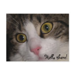 Hello there! greetingcard post cards