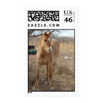 Hello There postage