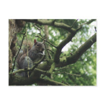 Hello there! postcard
