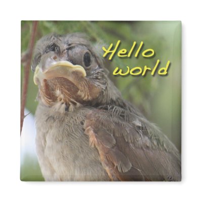 Hello World Magnet by poozybear