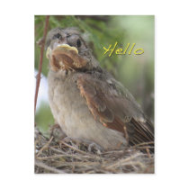 Hello World Postcard by poozybear Hello World Postcard