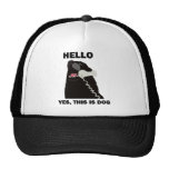 HELLO YES THIS IS DOG telephone phone Mesh Hat