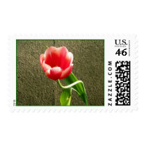 hellotulip postage by jenniekurono hellotulip postage