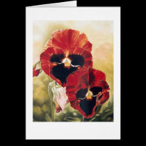 HELL'S ANGELS cards by cbhendrix HELL'S ANGELS cards