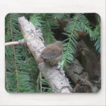 Hells Canyon Idaho Animals / Birds Aves Mouse Pads