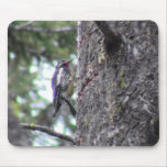 Hells Canyon Idaho Animals / Birds Aves Mouse Pads