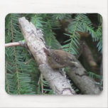 Hells Canyon Idaho Animals / Birds Aves Mousepad