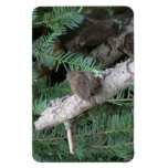 Hells Canyon Idaho Animals / Birds Aves Rectangular Magnets