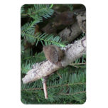 Hells Canyon Idaho Animals / Birds Aves Rectangular Magnets