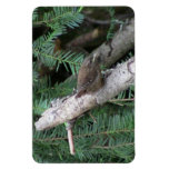 Hells Canyon Idaho Animals / Birds Aves Flexible Magnet