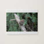 Hells Canyon Idaho Animals / Birds Aves Jigsaw Puzzles