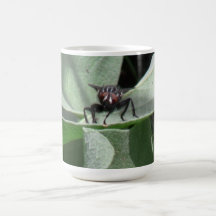 Hells Canyon Idaho Fauna Insects / Arachnids Coffee Mug