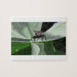Hells Canyon Idaho Fauna Insects / Arachnids Jigsaw Puzzles