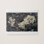 Hells Canyon Idaho Flora Fungi Lichen Mosses Puzzles