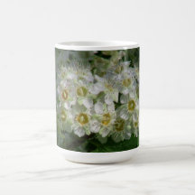 Hells Canyon Idaho Flora Wildflowers Flowers Coffee Mugs
