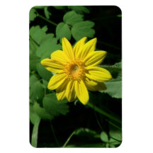 Hells Canyon Idaho Flora Wildflowers Flowers Rectangular Magnets