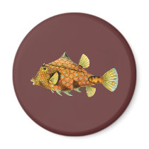 Helmet Cowfish Refrigerator Magnet