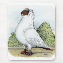 Helmet:  Red Pigeon Mousepad