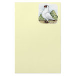 Helmet:  Red Pigeon Customized Stationery