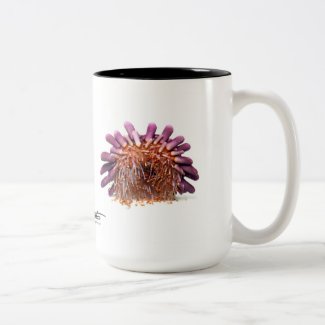 Helmet Urchin, Colobocentrotus atratus Two-Tone Coffee Mug
