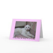 Helmut Notecards