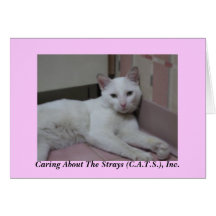 Helmut Notecards