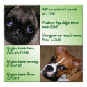 Help Animals Poster posters by DonnaSK Help Animals Poster posters