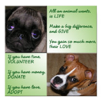 Help Animals Poster posters by DonnaSK Help Animals Poster posters