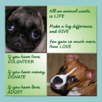Help Animals Poster posters
