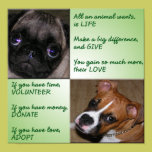 Help Animals Poster posters