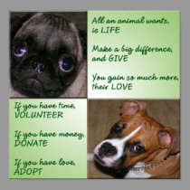 Help Animals Poster posters