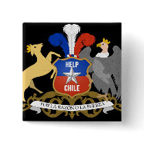 HELP CHILE Coat Of Arms Pins