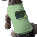 Help for Rex Pet Tee