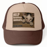 Help Homeless Animal Hat