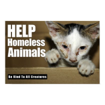 Help Homeless Animal Poster posters