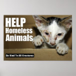 Help Homeless Animal Poster posters