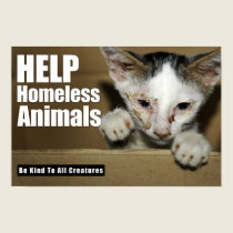 Help Homeless Animal Poster posters
