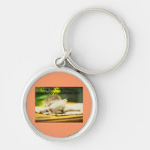Help me help others key chain kitten style