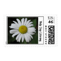 Help Stop Littering (Daisy) Stamp stamps
