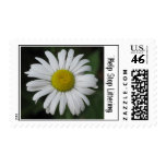 Help Stop Littering (Daisy) Stamp