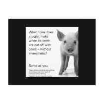 Help the Piglets! postcards