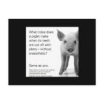 Help the Piglets! Postcard