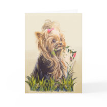 "Helping Momma Garden" cards by hofferstudiocom "Helping Momma Garden" cards
