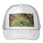 Hemaris Thysbe - Hummingbird Moth Trucker Hat