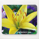 HEMEROCALLIS: Daylily mousepads by Accidentalphoto HEMEROCALLIS: Daylily mousepads